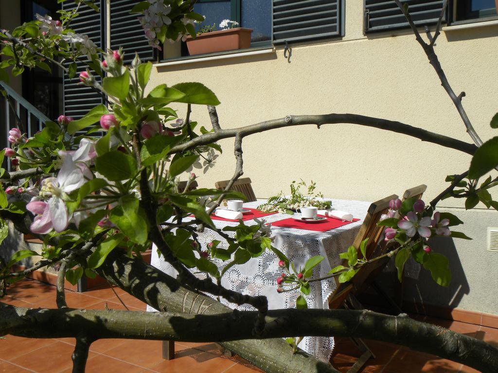 El Jardin De Los Gatos Apartament Caceres Exterior photo